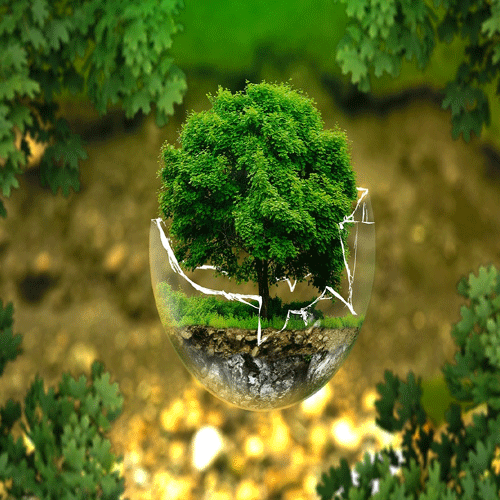 Environment Protection